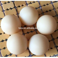 Nylon Plastic Hollow ball