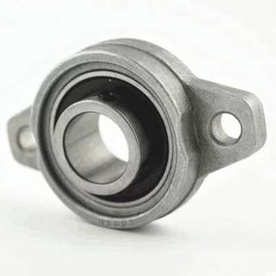 Flange Bearing Two Bolt flanged bearing SS Housing Material